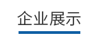 企業(yè)展示 企業(yè)展示